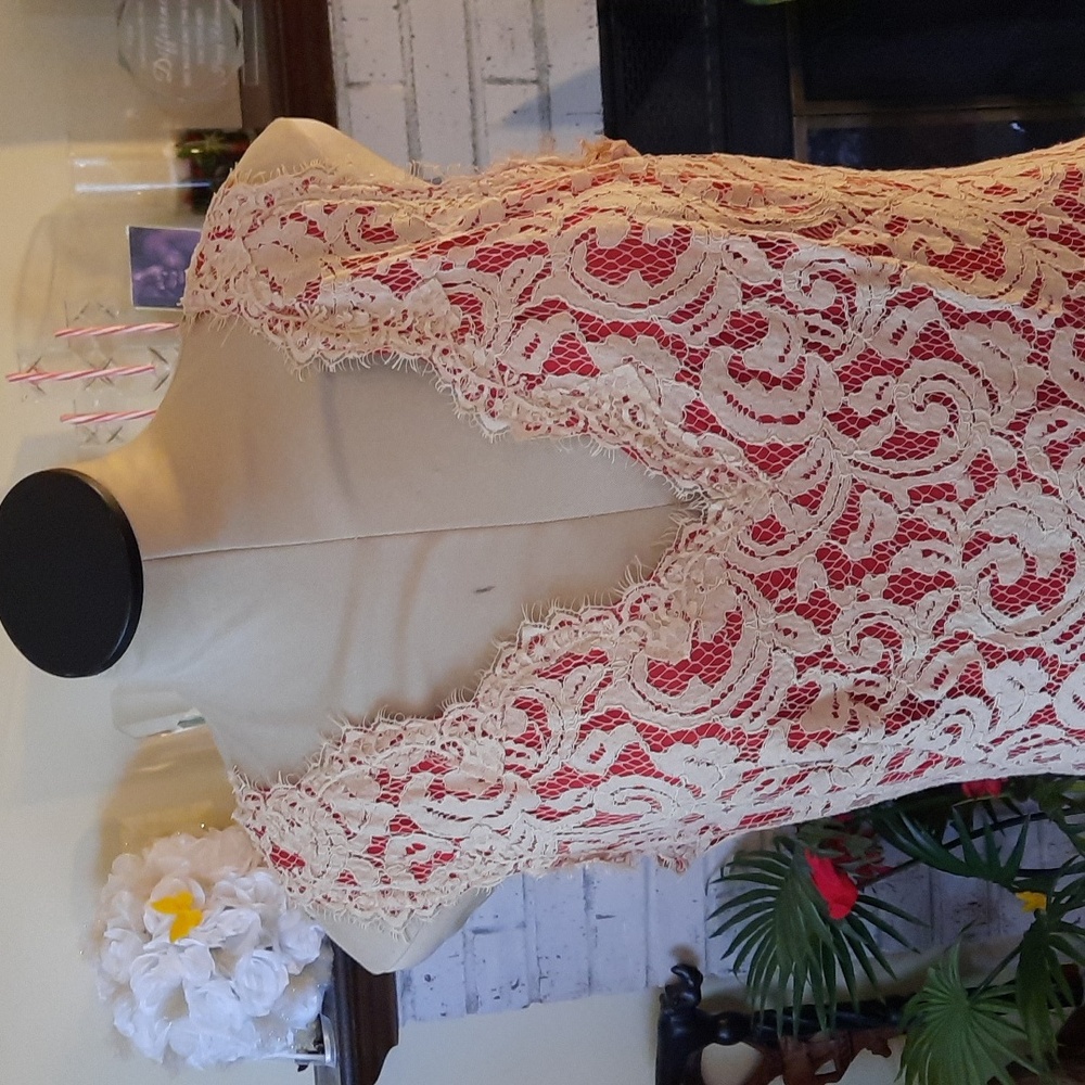 Tadashi Shoji Peplum Mid Length Dress size 14 - Picture 3 of 6
